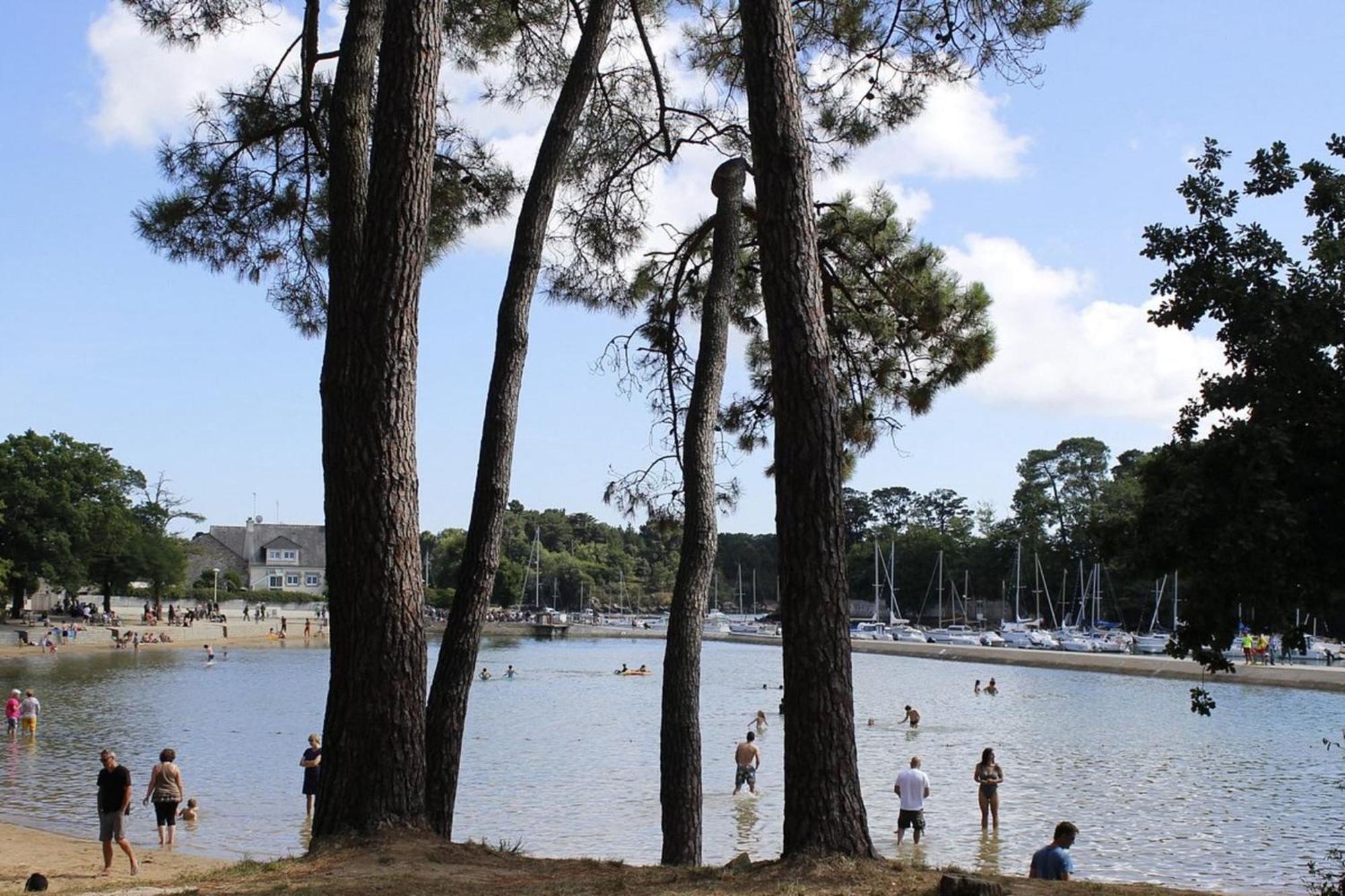 Charming T3 With Balcony Near * Vannes
